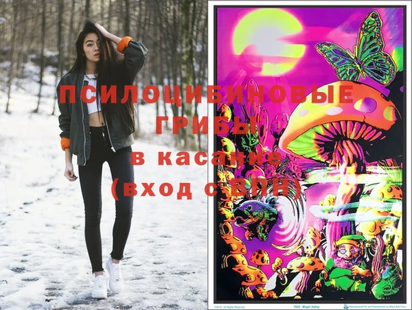 МДПВ Рославль