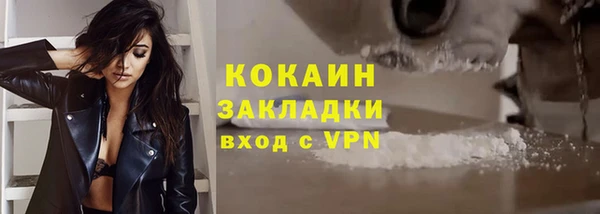 прущие грибы Россошь