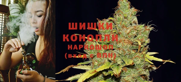 прущие грибы Россошь