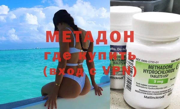 прущие грибы Россошь