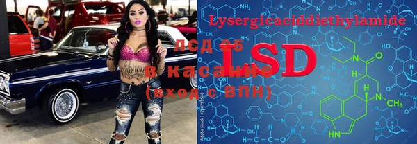 прущие грибы Россошь