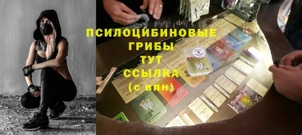 МДПВ Рославль