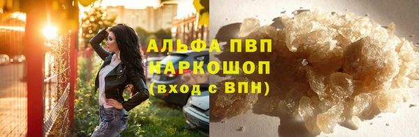 прущие грибы Россошь