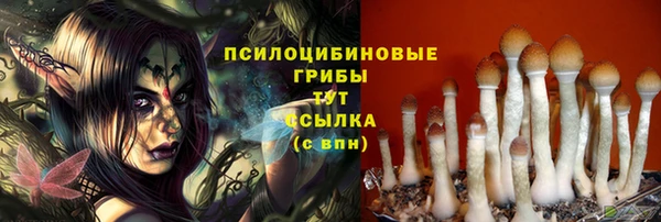 МДПВ Рославль