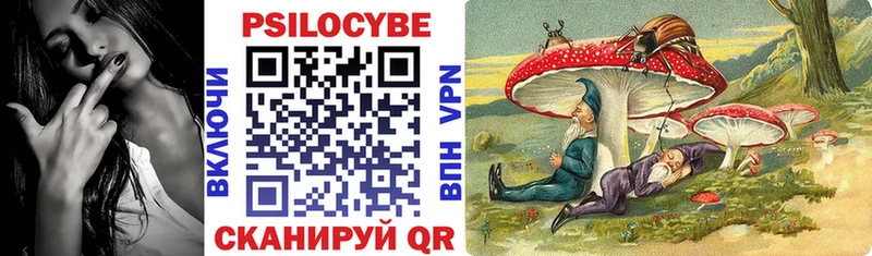 Псилоцибиновые грибы прущие грибы  Купить где  Лиски 